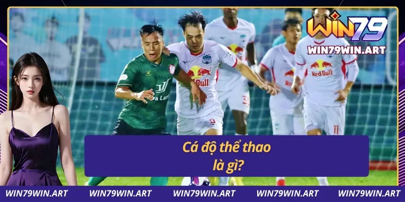 Cá cược thể thao có gì?