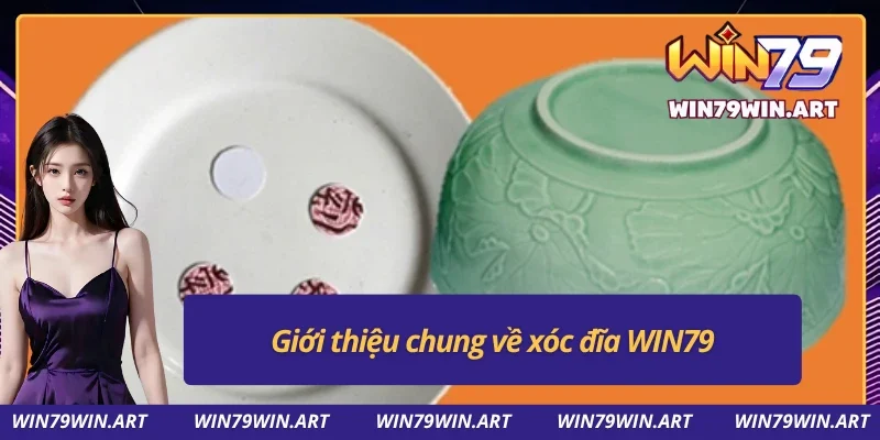 Giới thiệu chung xóc đĩa